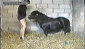 Orgia interracial neges comendo loira gostosa - pónei,sexo de cachorro