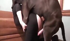 Orgia interracial neges comendo loira gostosa - sexo de cachorro,sexo foda animal