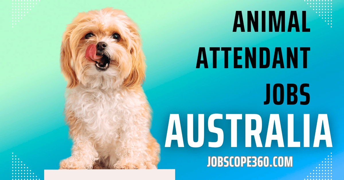 Animal Attendant Jobs Opportunities in Australia